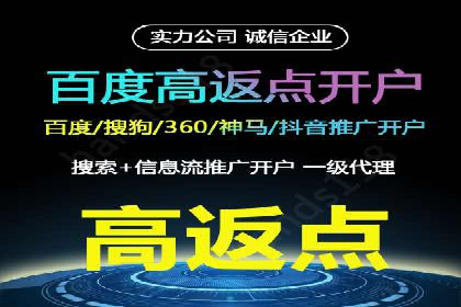 百度竞价广告投放策略案例